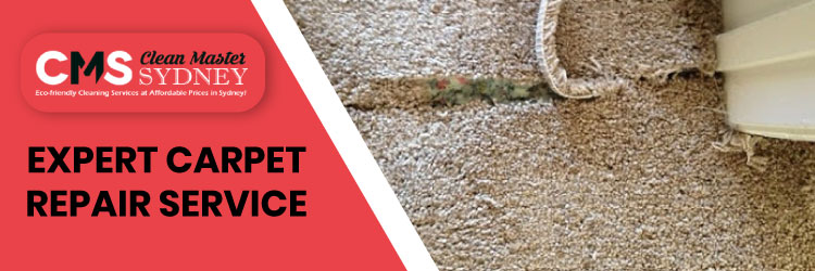 Carpet Repair Services