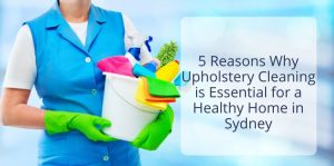 5 Reasons Why Upholstery Cleaning is Essential for a Healthy Home in Sydney