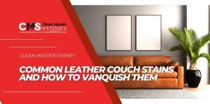Common Leather Couch Stains and How To Vanquish Them