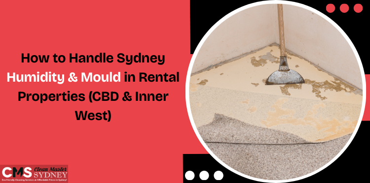 How to Handle Sydney Humidity & Mould in Rental Properties (CBD & Inner West)
