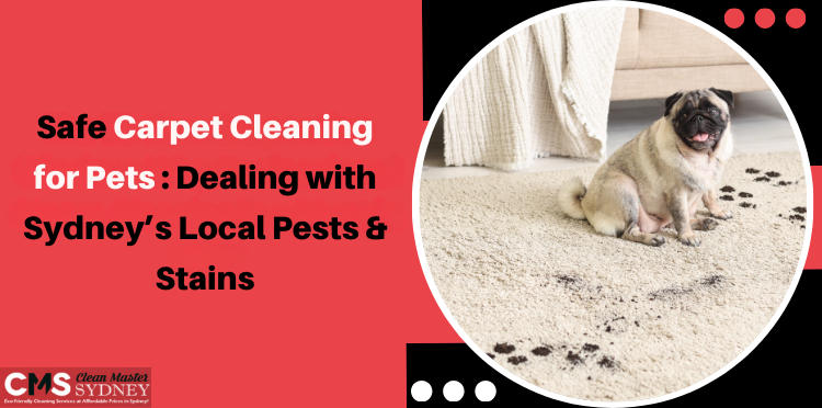 Safe Carpet Cleaning for Pets